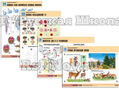 Комплект таблиц по биологии дем. "Общая биология 1" (16 табл., формат А1, лам.)