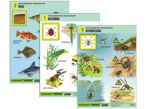 Комплект таблиц для нач. шк. "Окружающий мир. Животный мир" (8 табл., А1, лам.)