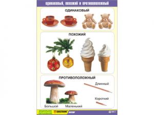 Таблица демонстрационная "Одинаковый, похожий и противоположный" (винил 70x100)
