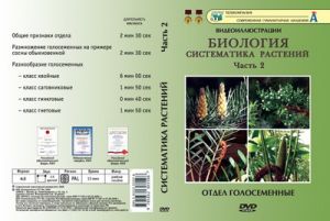 Компакт-диск "Систематика растений." 2 ч. "Отдел голосеменные" (6 фраг.16 мин) (DVD)