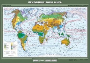 Учебн. карта "Природные зоны мира" 100х140